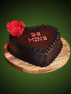 Clasic Chocolate Cake ( RNC-0021)